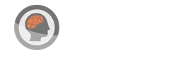 Partner 3